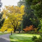 Herbstspaziergang im Garten