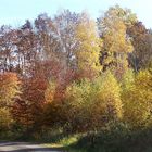 Herbstspaziergang im Harz