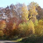 Herbstspaziergang im Harz