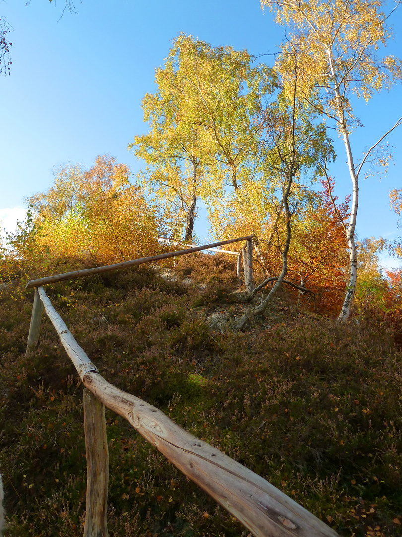 Herbstspaziergang im Harz