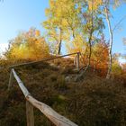 Herbstspaziergang im Harz