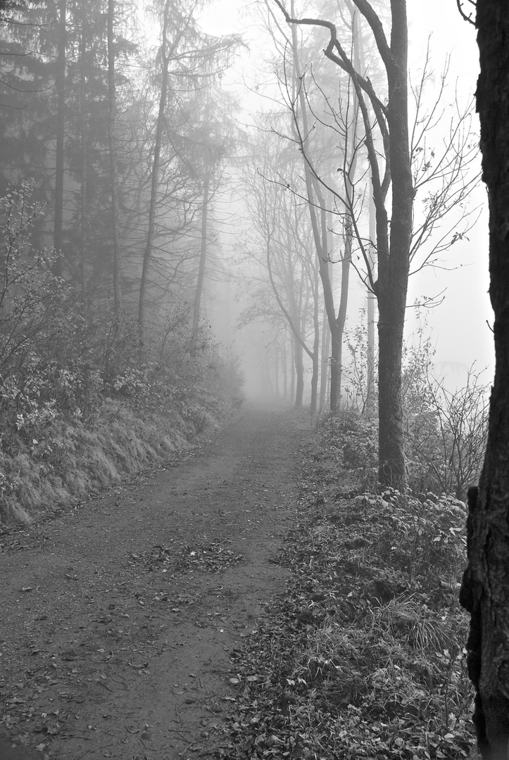 Herbstspaziergang im Harz