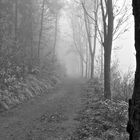 Herbstspaziergang im Harz