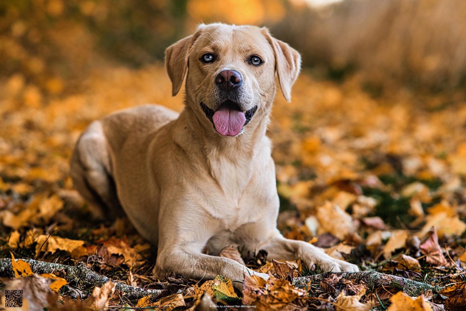 Herbstspaziergang im Isental 3