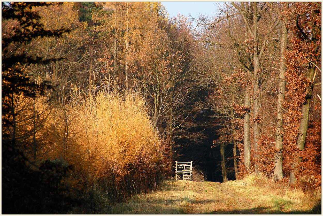 Herbstspaziergang im Kreuttal *2*