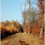 Herbstspaziergang im Kreuttal