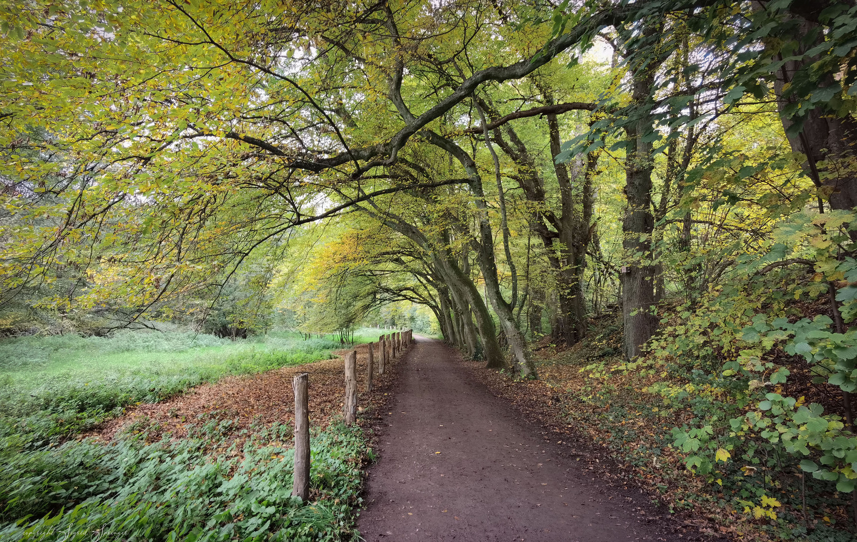 Herbstspaziergang im Neandertal