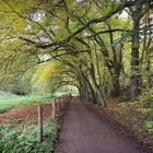 Herbstspaziergang im Neandertal