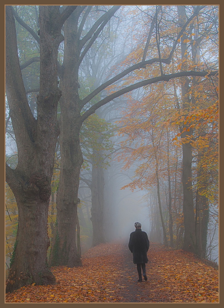 Herbstspaziergang im Nebel