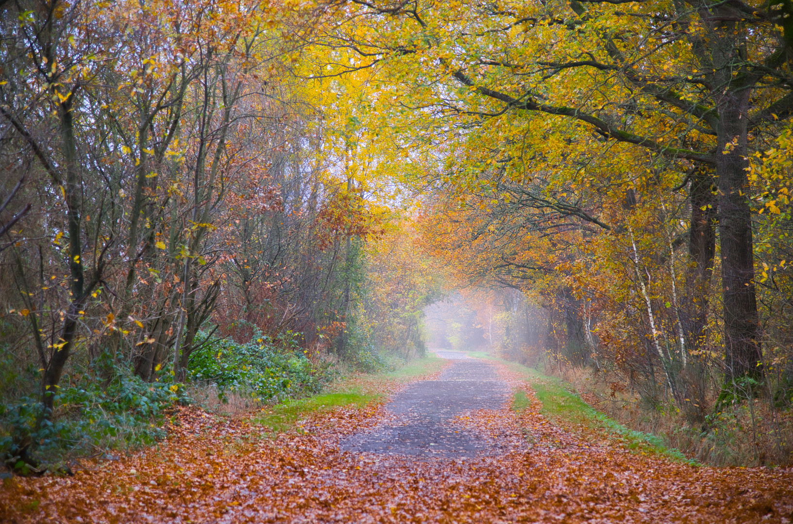 Herbstspaziergang im November