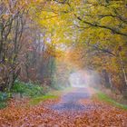 Herbstspaziergang im November