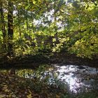 Herbstspaziergang im Park