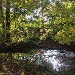 Herbstspaziergang im Park