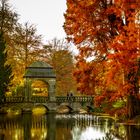 Herbstspaziergang im Schlosspark