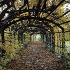 Herbstspaziergang im Schloßpark