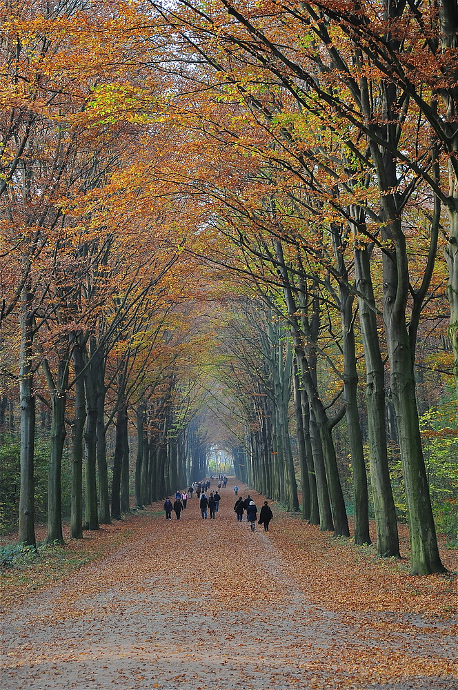 Herbstspaziergang im Schlosspark Brühl