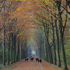 Herbstspaziergang im Schlosspark Brühl