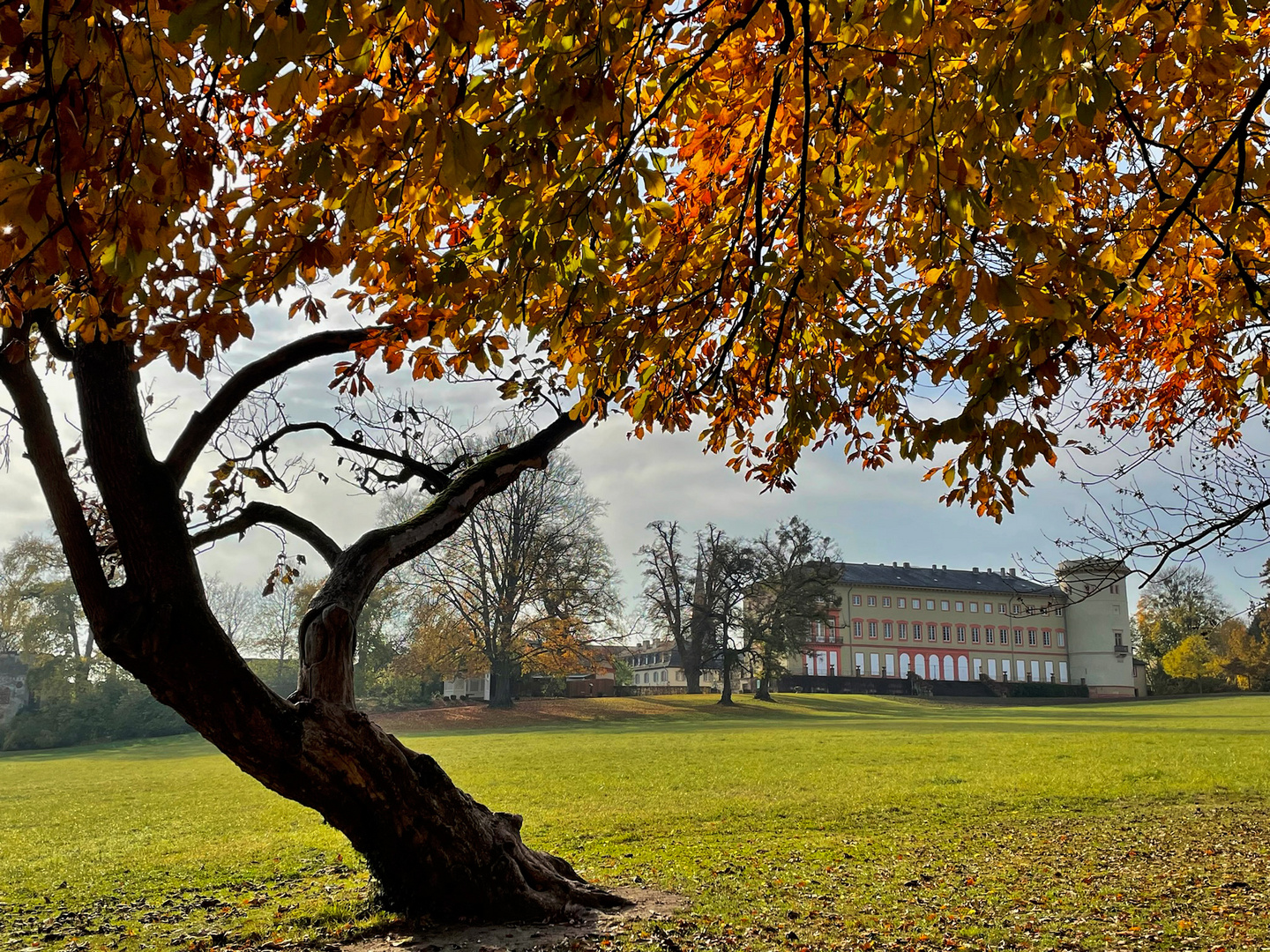 Herbstspaziergang im Schlosspark