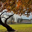 Herbstspaziergang im Schlosspark