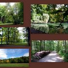 Herbstspaziergang im Siebentischwald