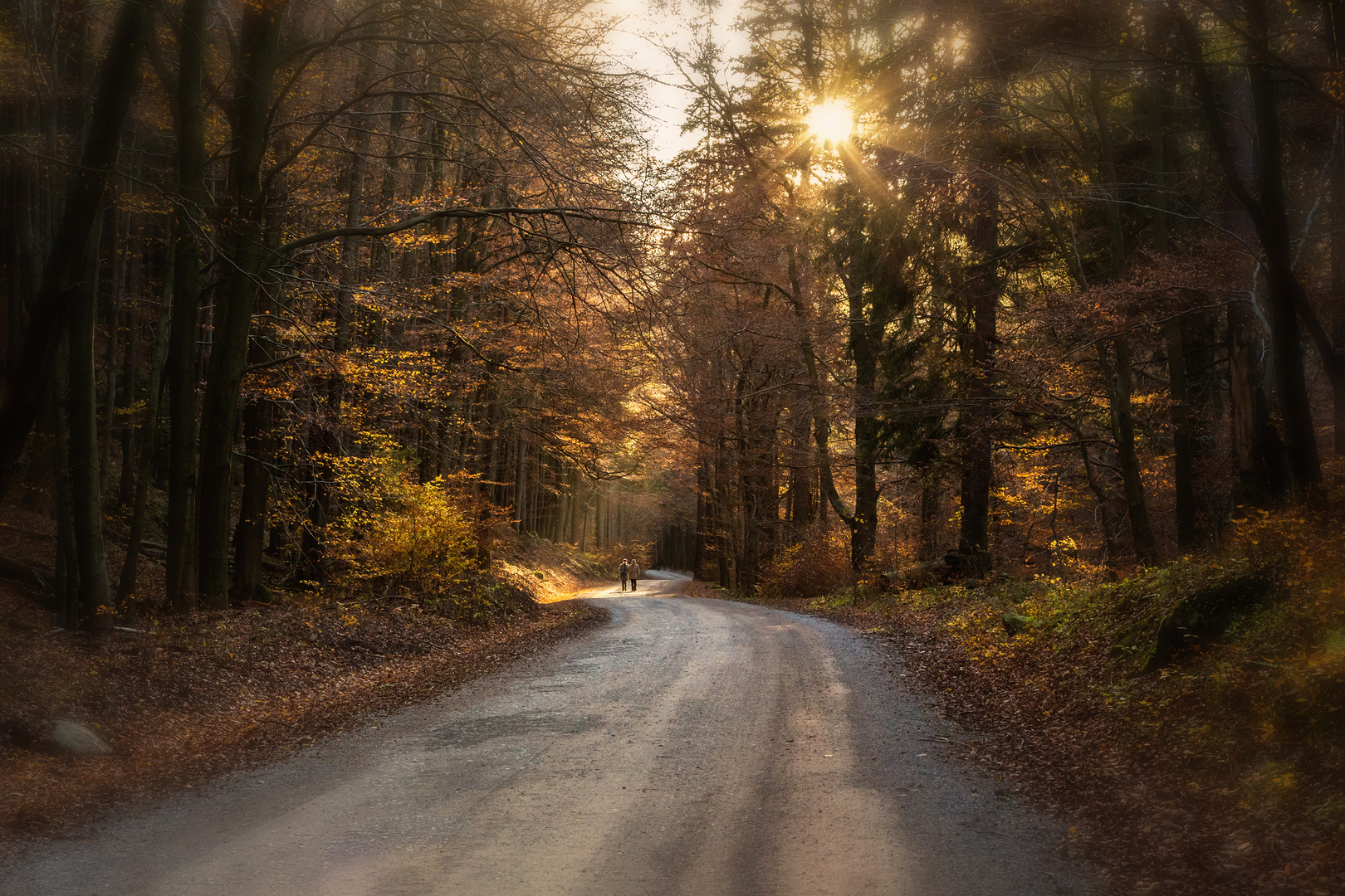 Herbstspaziergang im wild-romantischen Ilsetal