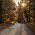 Herbstspaziergang im wild-romantischen Ilsetal