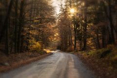 Herbstspaziergang im wild-romantischen Ilsetal