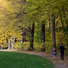 Herbstspaziergang in Chemnitz IV