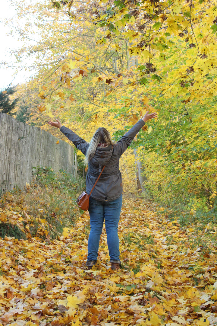 ...Herbstspaziergang in der Heimat