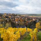 Herbstspaziergang in der Heimat