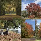 Herbstspaziergang in der Kasseler Karlsaue