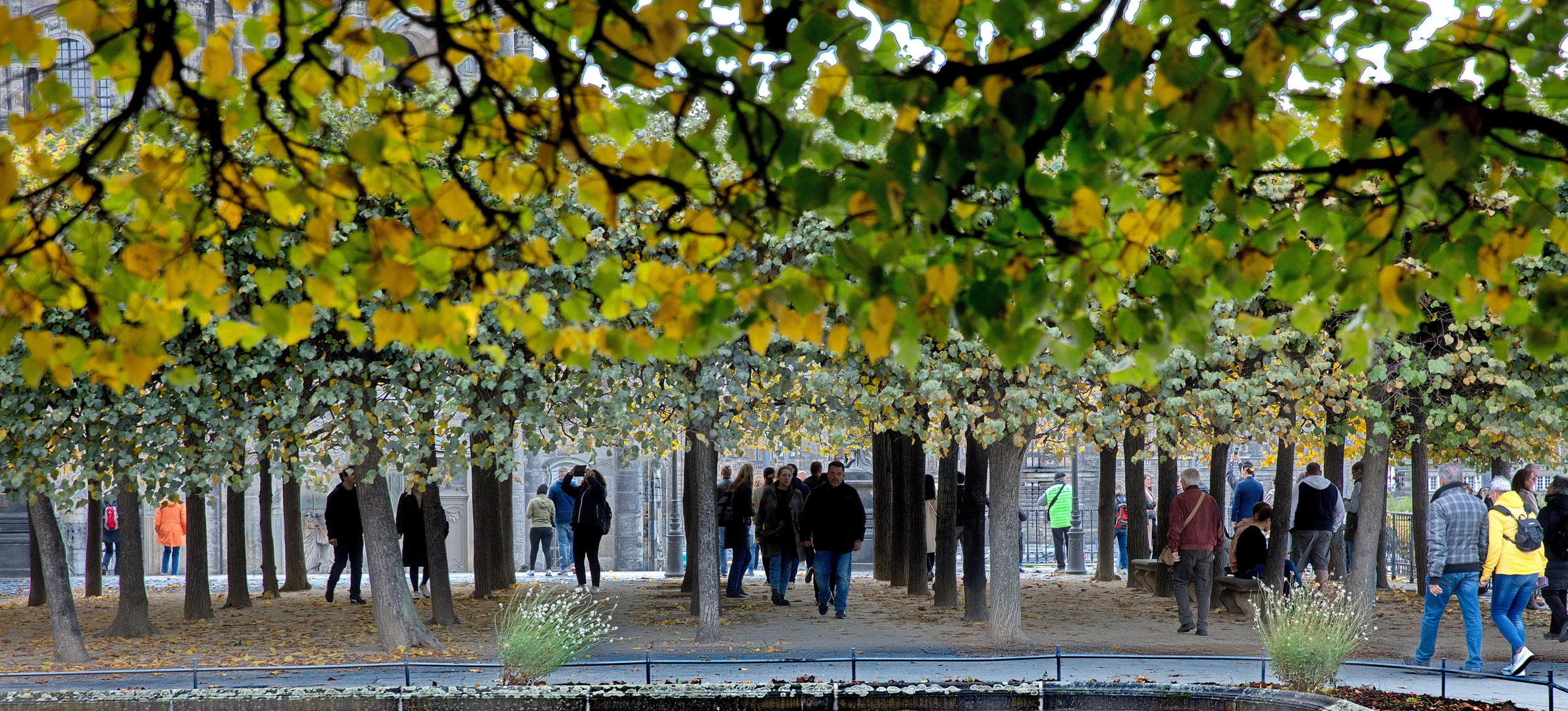 Herbstspaziergang in Dresdner Altstadt