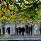 Herbstspaziergang in Dresdner Altstadt