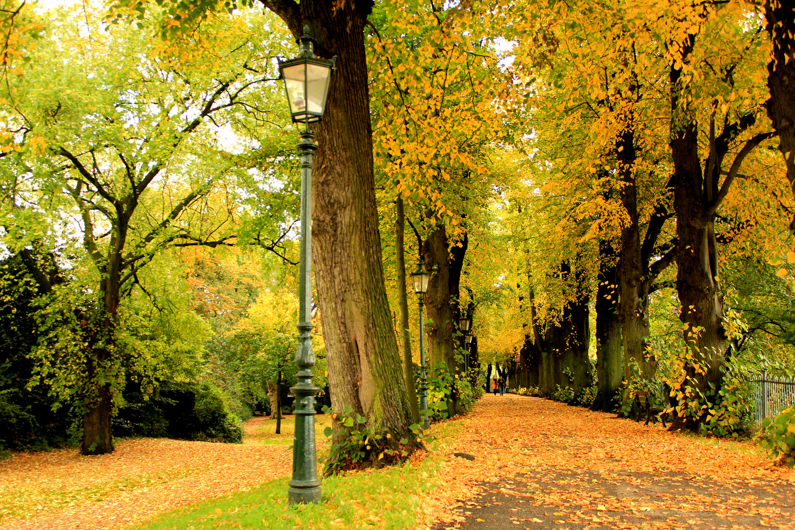 Herbstspaziergang in Düsseldorf-Kaiserswerth