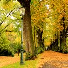 Herbstspaziergang in Düsseldorf-Kaiserswerth