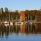 Herbstspaziergang in Duisburg