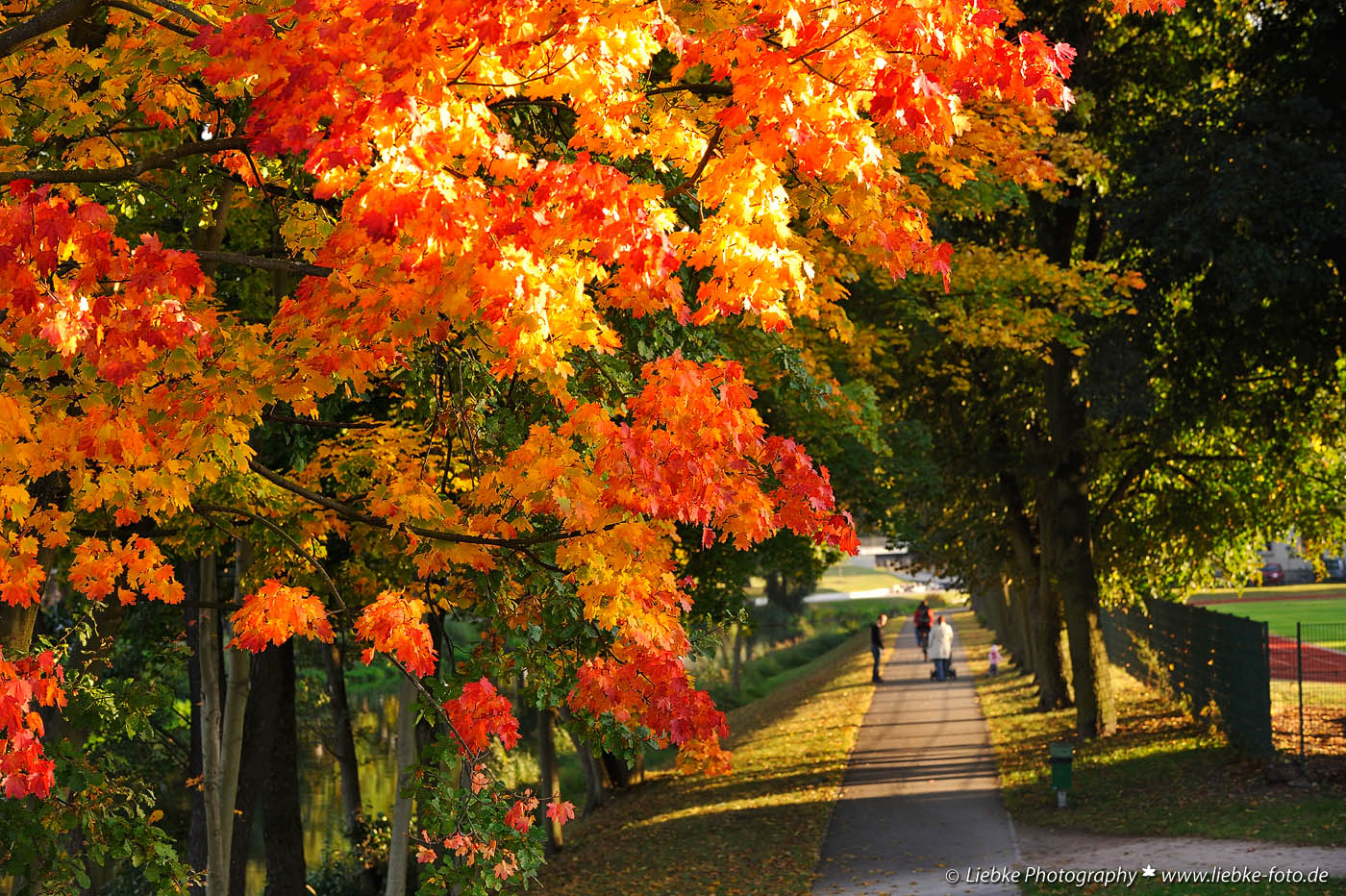 Herbstspaziergang in Oranienburg