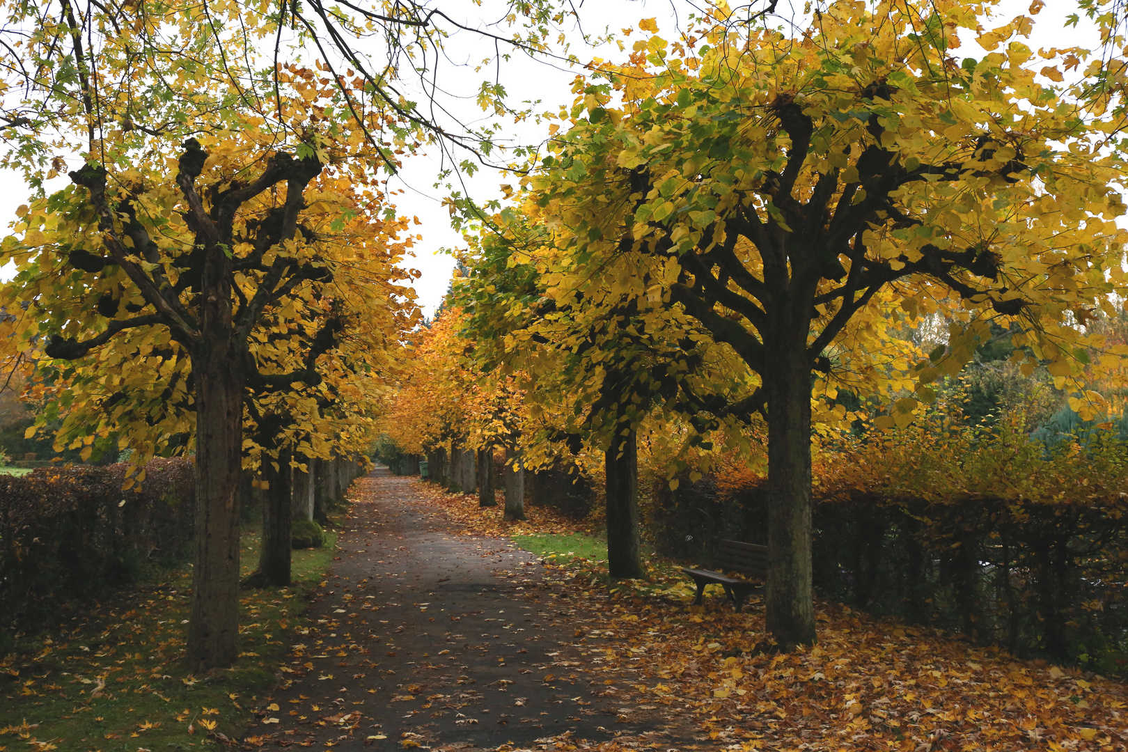 Herbstspaziergang in Pforzheim...