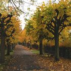 Herbstspaziergang in Pforzheim...