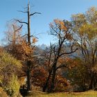 Herbstspaziergang in Südtirol 2