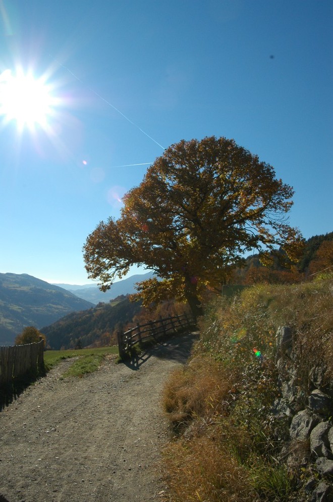 Herbstspaziergang in Südtirol