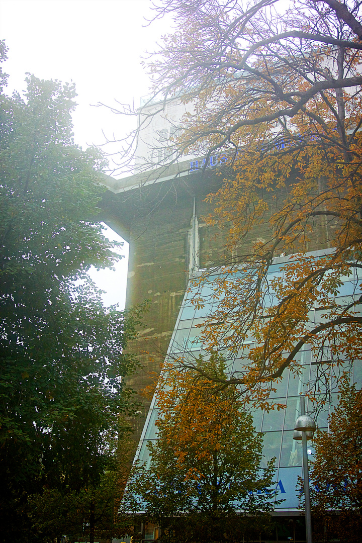 Herbstspaziergang in Wien