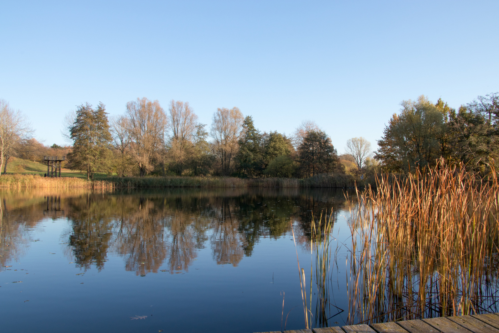 Herbstspaziergang IV