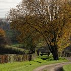 Herbstspaziergang mit Bank