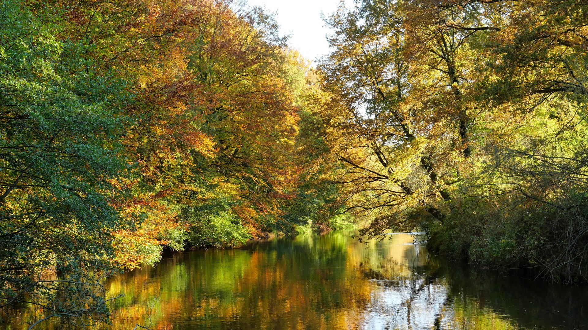 Herbstspaziergang mit dem neu erworbenem Lumix 12 - 35mm, f2,8