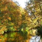 Herbstspaziergang mit dem neu erworbenem Lumix 12 - 35mm, f2,8