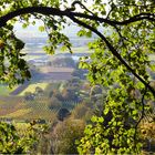 Herbstspaziergang mit Durchblick