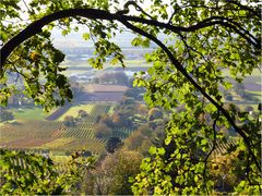 Herbstspaziergang mit Durchblick