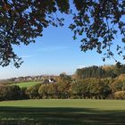 Herbstspaziergang mit Durchblick