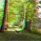 Herbstspaziergang mit Hunden (3D-Anaglyphe+MPO-Link)